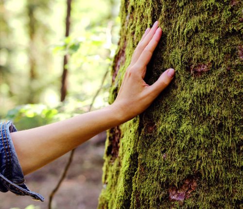 conectar-con-naturaleza_edbc15d9_230908133046_1280x720